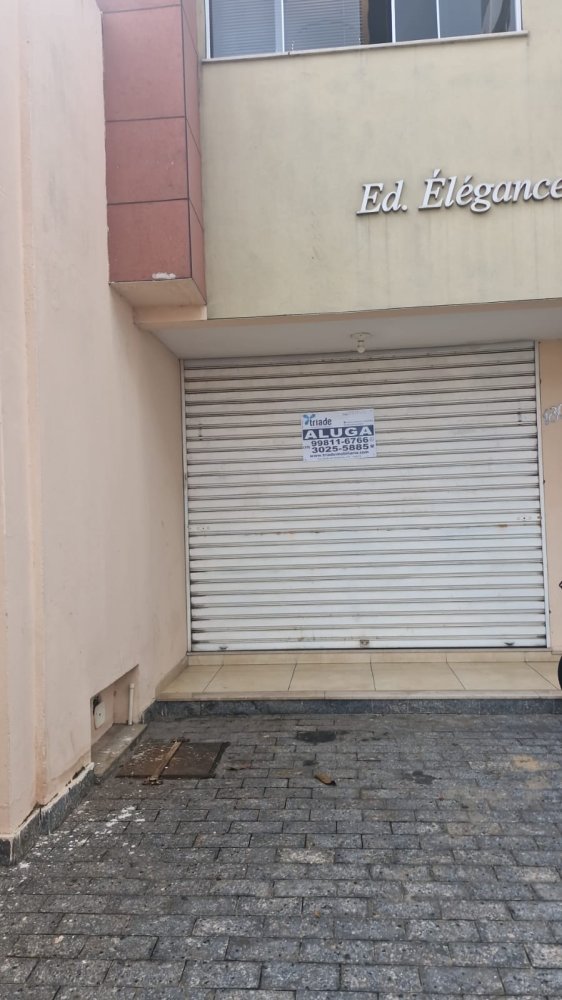 Loja - Aluguel - Centro - Campos dos Goytacazes - RJ